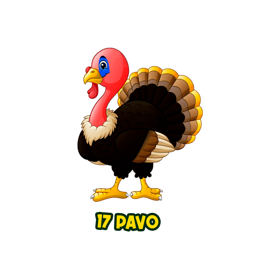 Resultado 17