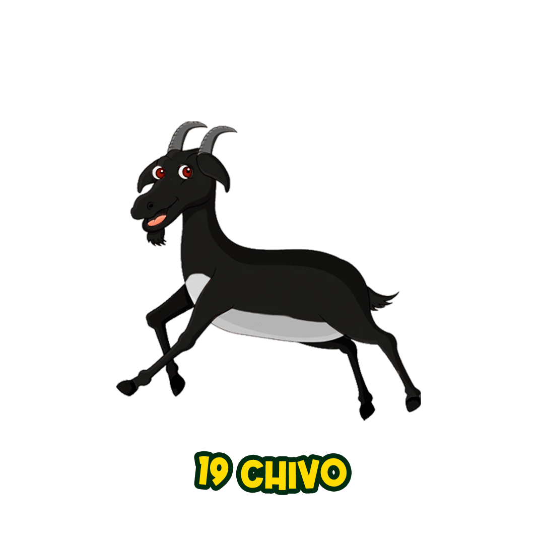 Resultado 19